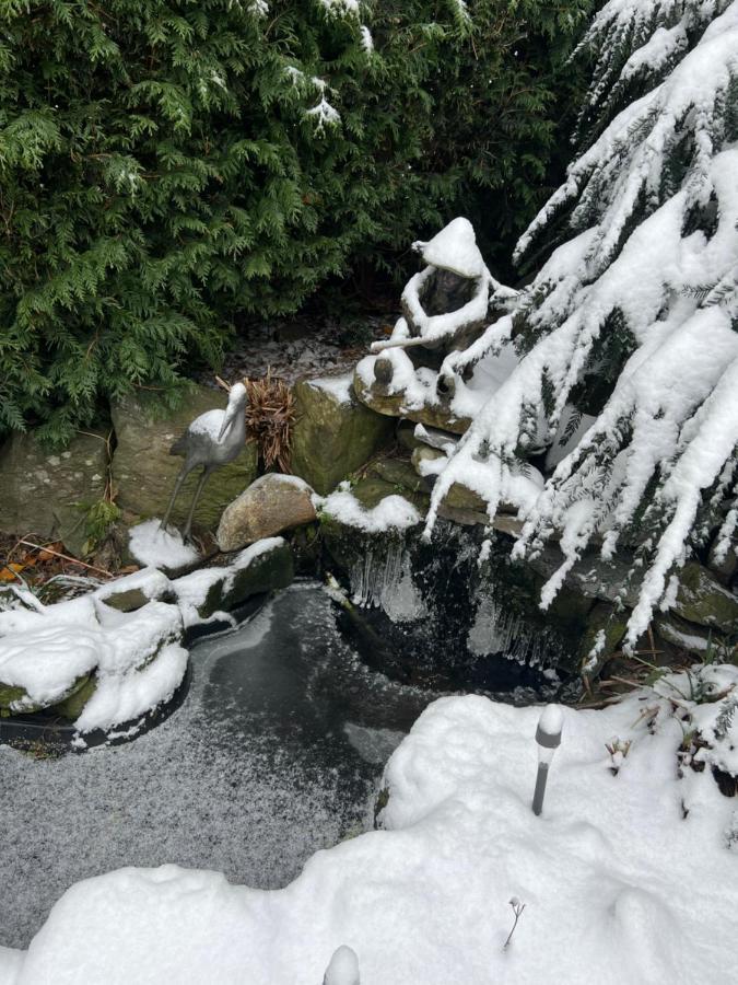 Aristocrathomestay Vancouver Luaran gambar