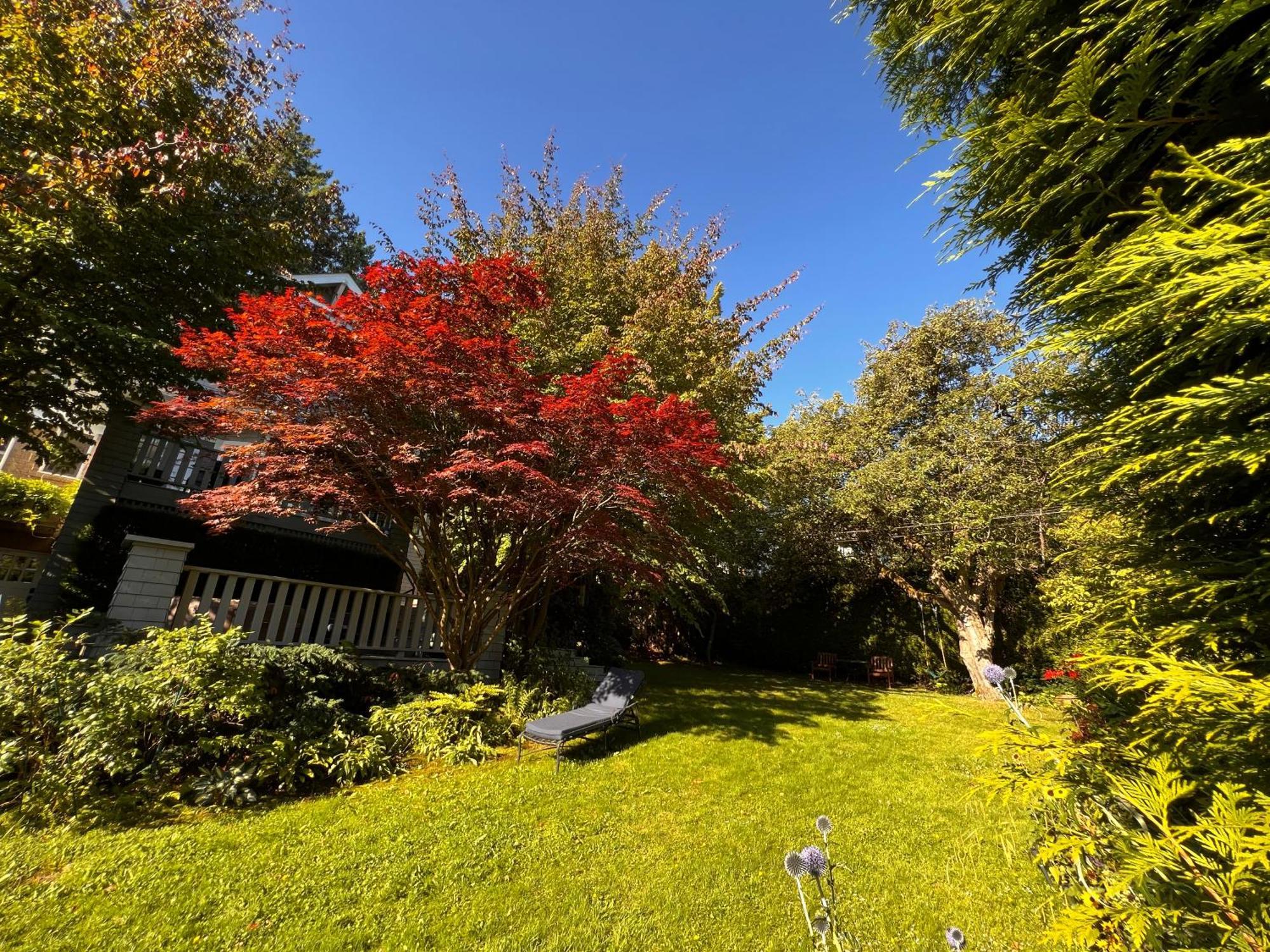 Aristocrathomestay Vancouver Luaran gambar